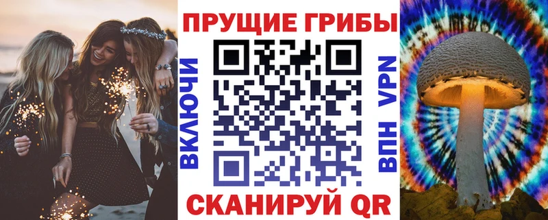 купить  сайты  Отрадное  Псилоцибиновые грибы ЛСД 